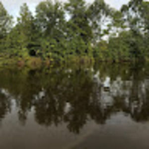 Meet your Posher, Trevor